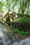 IMG_0311.jpg