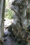 IMG_0320.jpg
