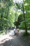IMG_0335.jpg