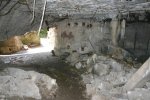 IMG_0336.jpg