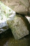 IMG_0345.jpg