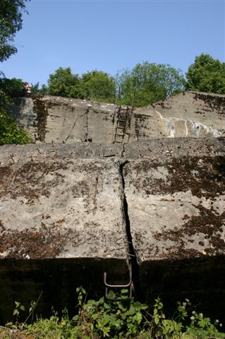 IMG_0347.jpg