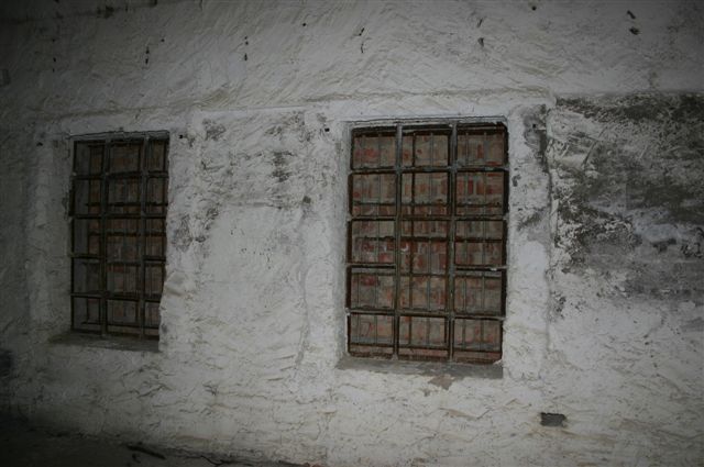 IMG_0355.jpg