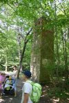IMG_0362.jpg