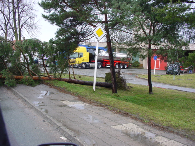 DSC00705