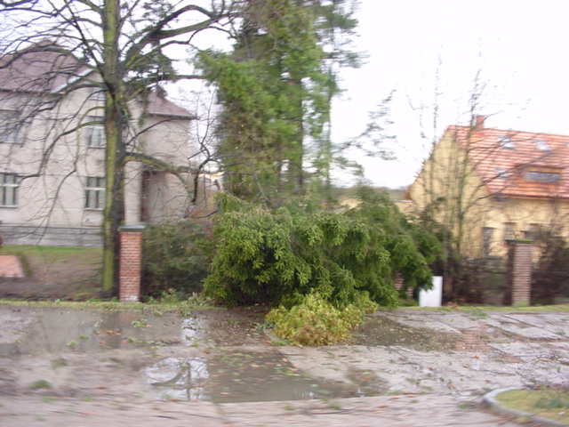 DSC00709