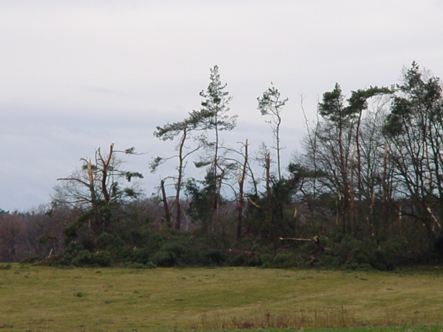 DSC00715