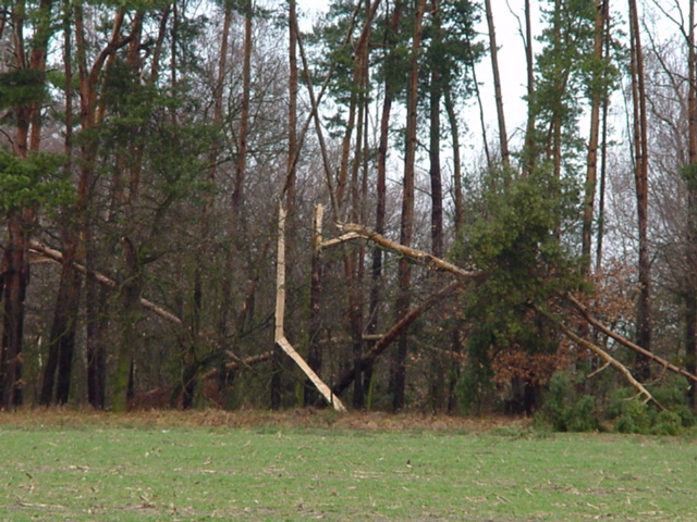 DSC00716