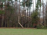 DSC00716