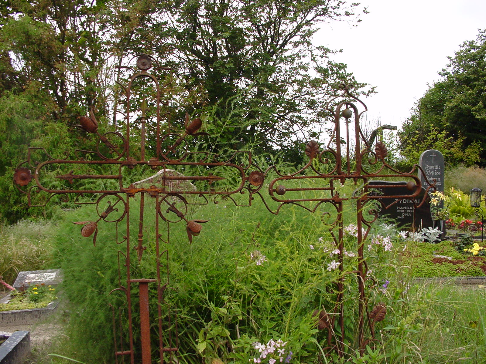 DSC00083