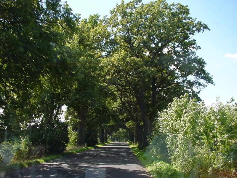 DSC00105