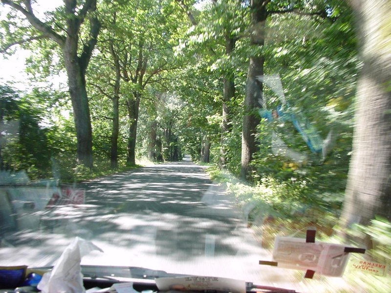 DSC00106