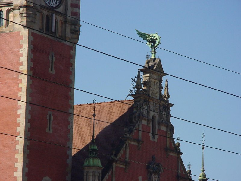 DSC00113