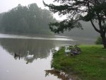 DSC00144