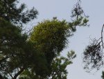 DSC00146