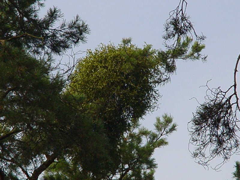 DSC00146