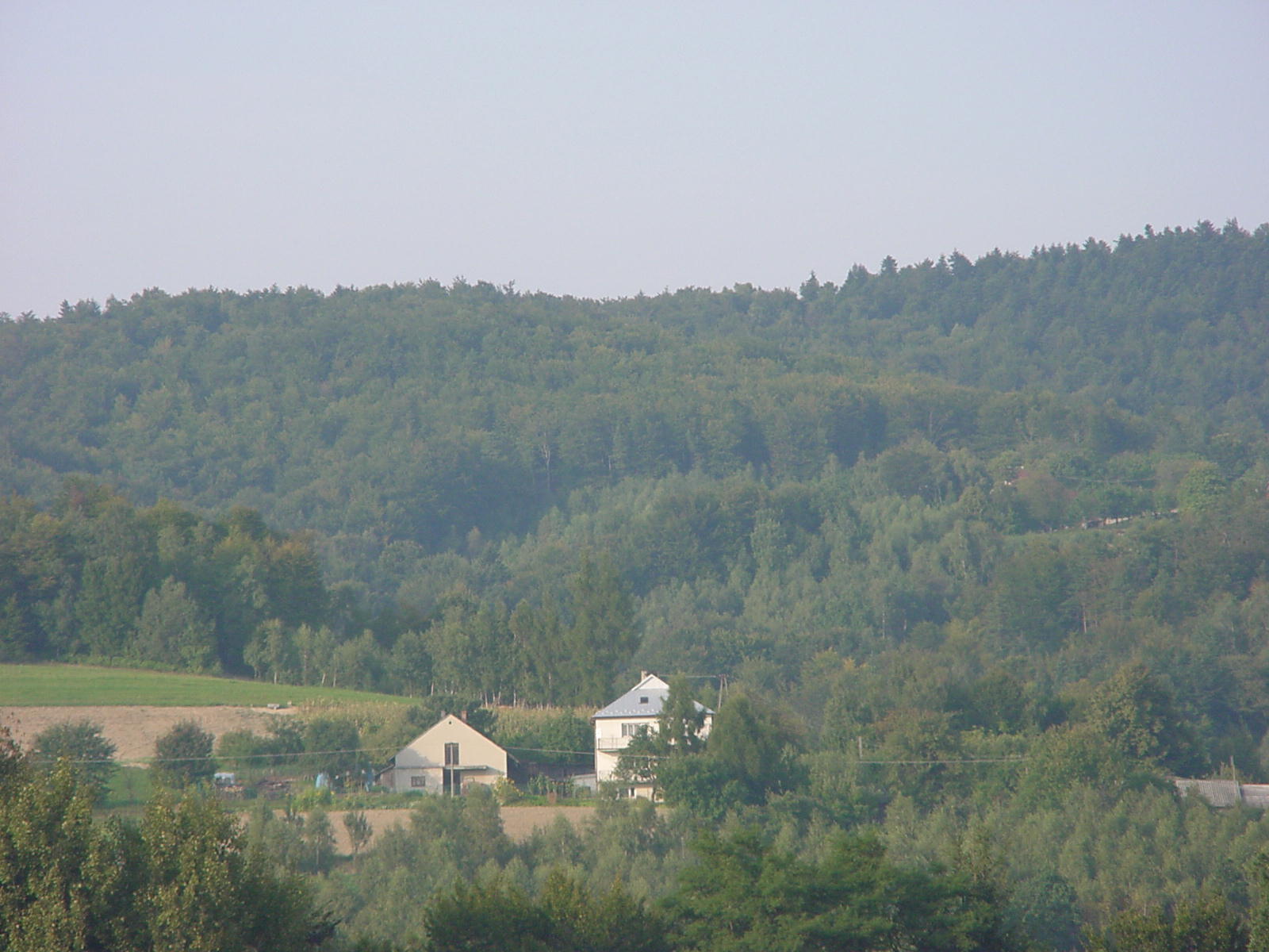 DSC00174