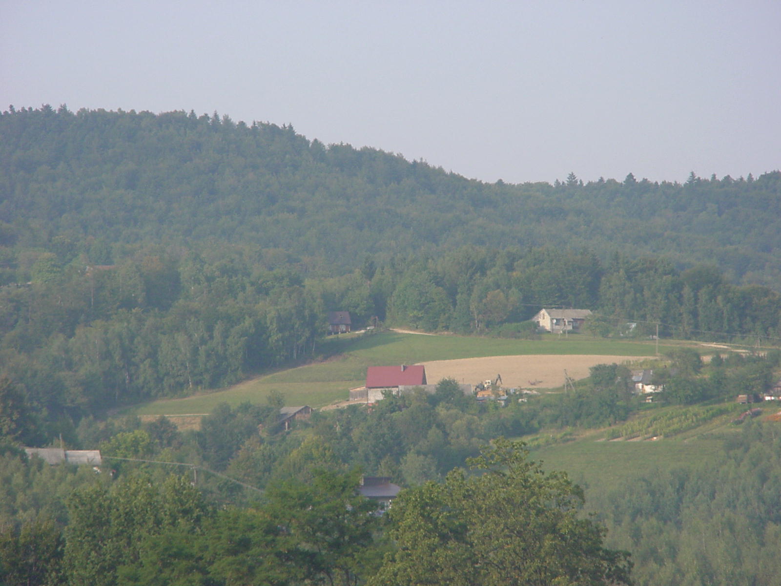 DSC00175