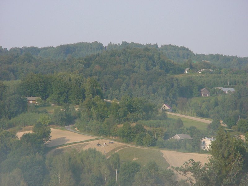 DSC00176