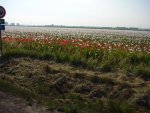 DSC00023