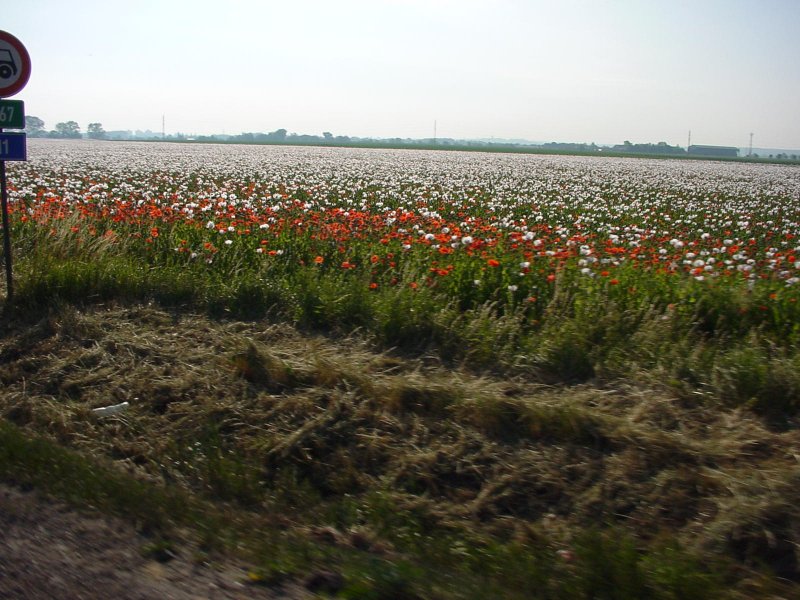 DSC00023