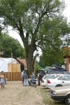 IMG_0122.JPG