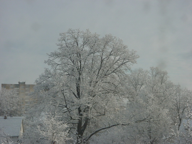 DSC00649
