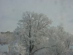 DSC00649