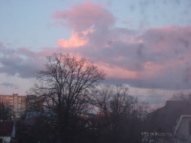 DSC00650
