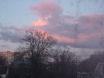 DSC00650