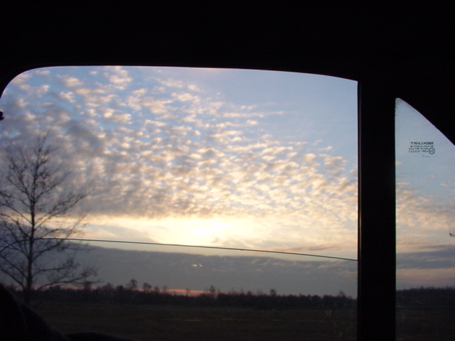 DSC00655