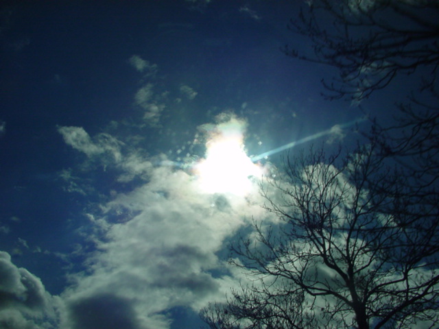 DSC00658