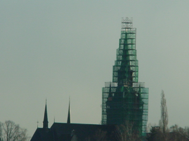 DSC00710