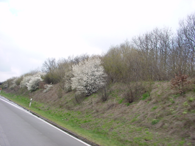 DSC00714