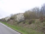 DSC00714