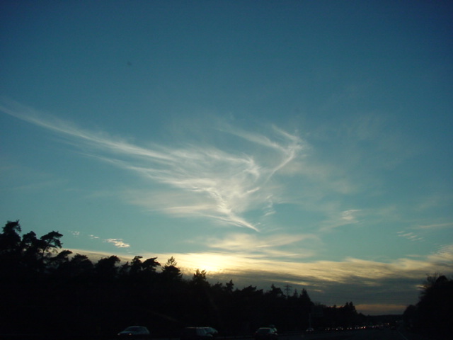 DSC00719