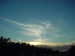 DSC00719