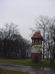 DSC00733