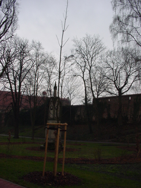 DSC00737