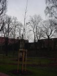 DSC00737
