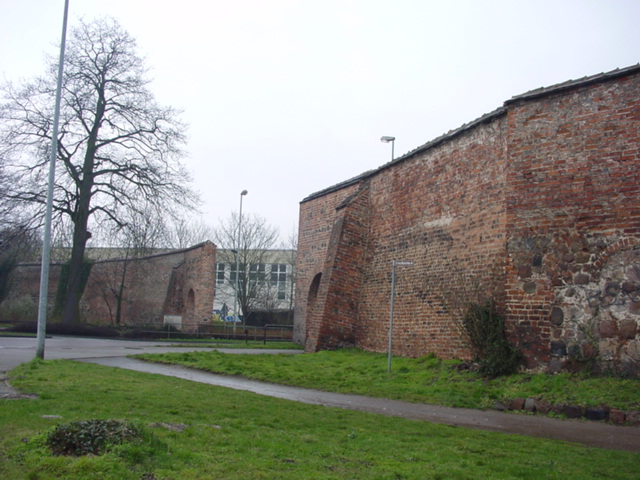 DSC00740