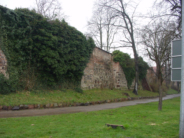DSC00741