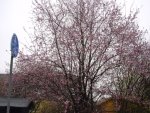 DSC00750