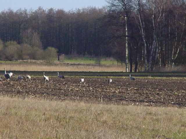 DSC00751