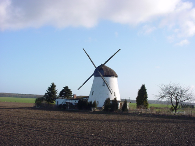 DSC00756