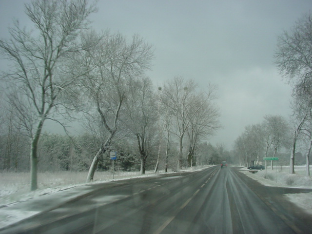 DSC00769