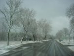 DSC00769