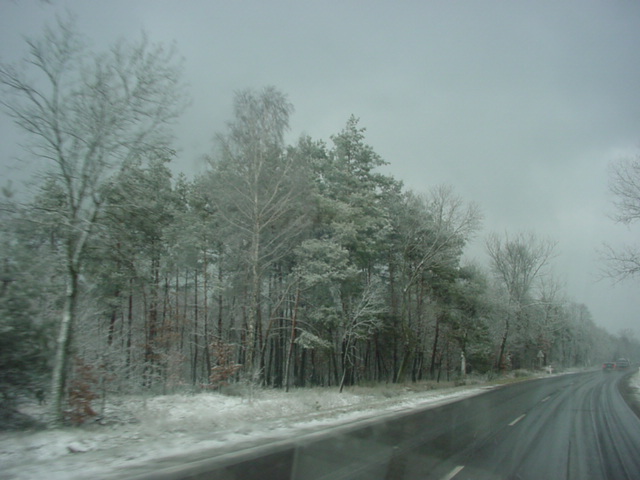 DSC00770