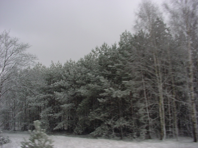 DSC00773