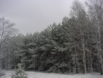 DSC00773
